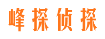 城中市调查公司